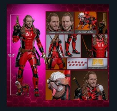 Hot Toys Nicepool MMS788 1/6 Scale 12″ Figure 914072 Marvel Deadpool & Wolverine