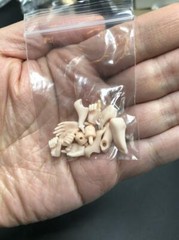1/12 SCALE Flexible Joint Female Body Pale/Suntan Figure 6″ Model XL bust ❶USA❶