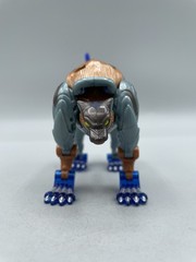 2000 Hasbro Transformers Beast Machines Quickstrike Wolf Heroic Maximal Complete