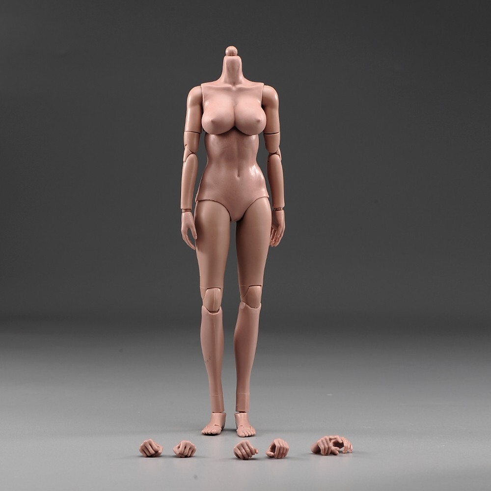 1/6 Suntan Skin Female Body Flexible Large Bust Action Figure Model Doll Body