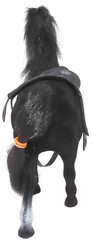 Warner Bros Black Beauty Horse Doll TV Movie Promo Collectors Item Stallion 1994